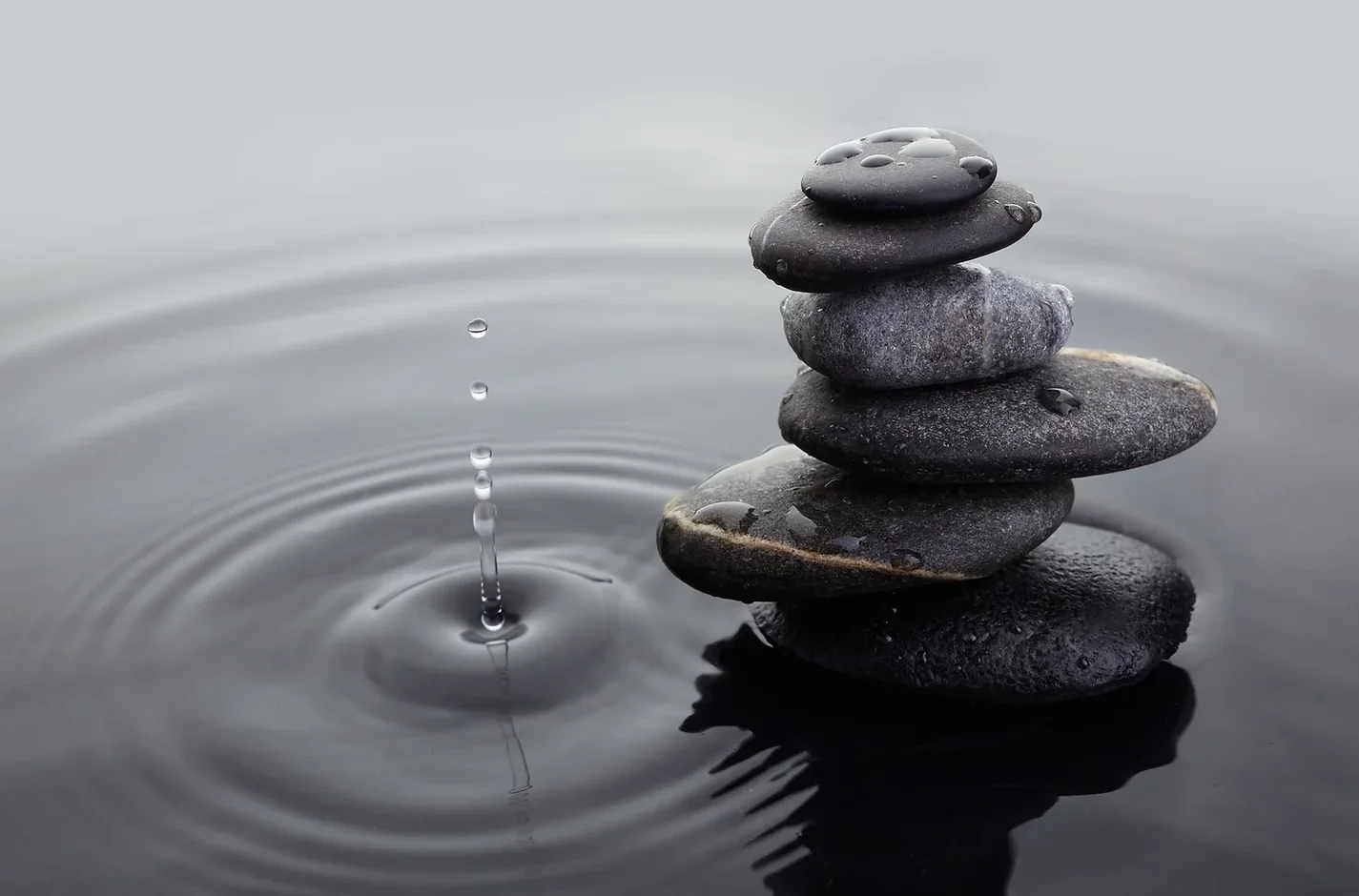 Wellness Programs