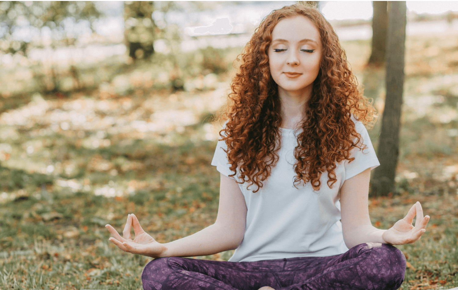 Heal and Mind Body