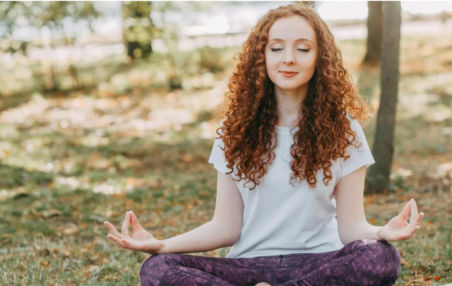 Heal and Mind Body
