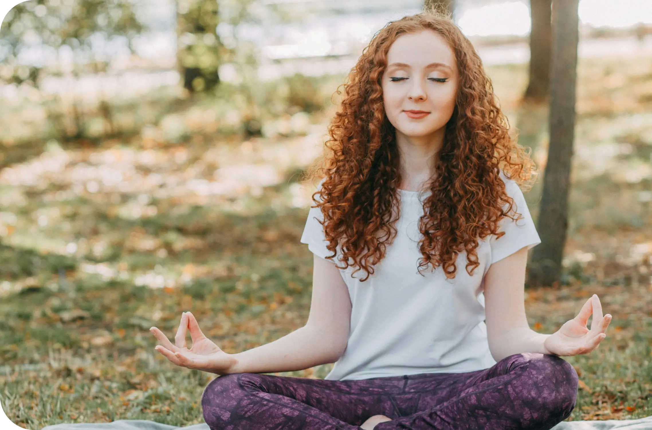 Heal and Mind Body