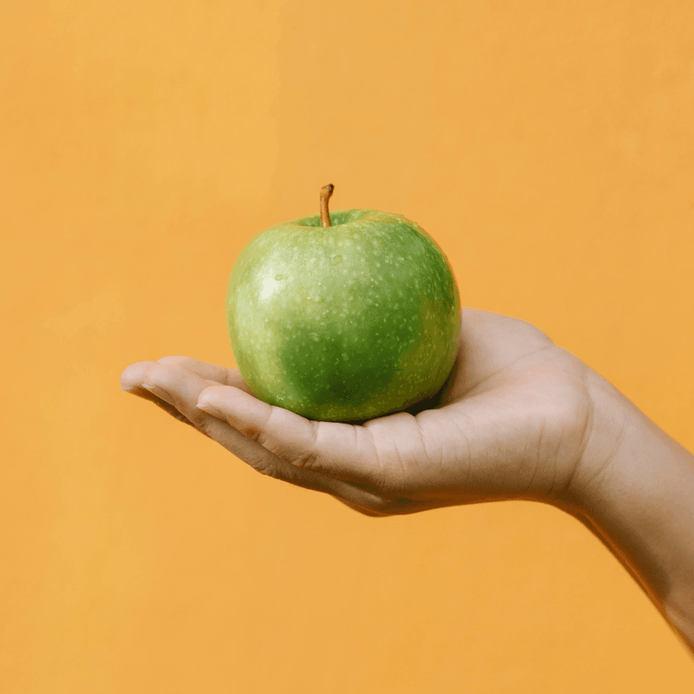Wellness Program Image 2